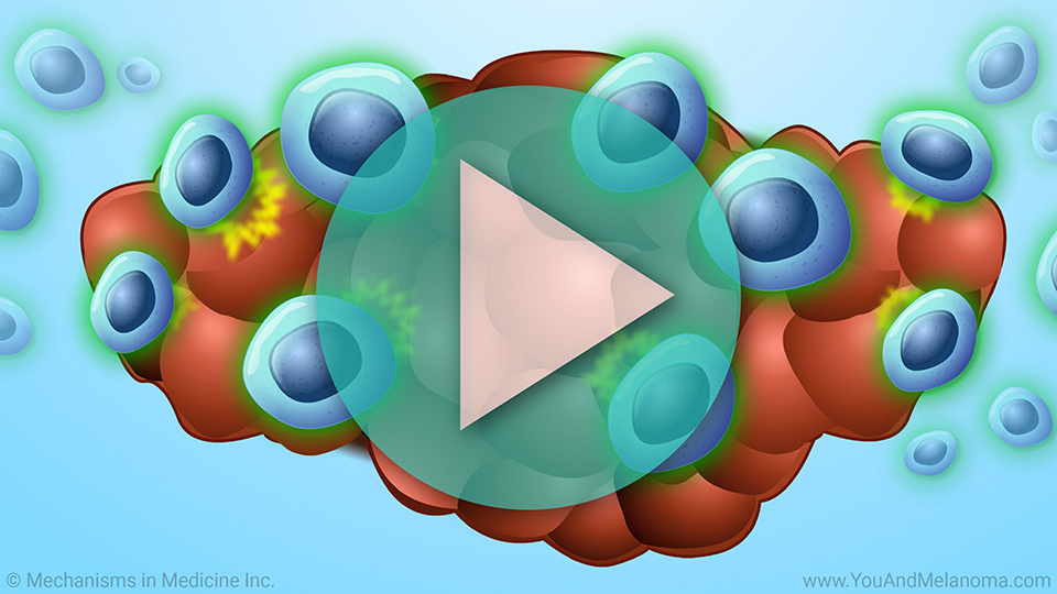 Animation - TIL Cell Therapy for Melanoma
