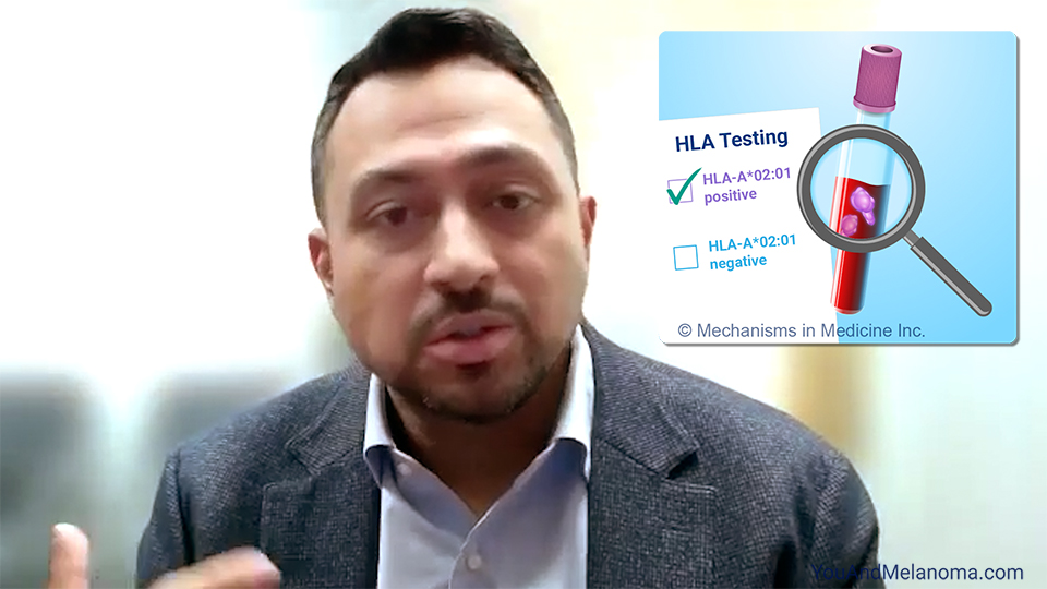 What is HLA testing, and why is it done for metastatic uveal melanoma?
