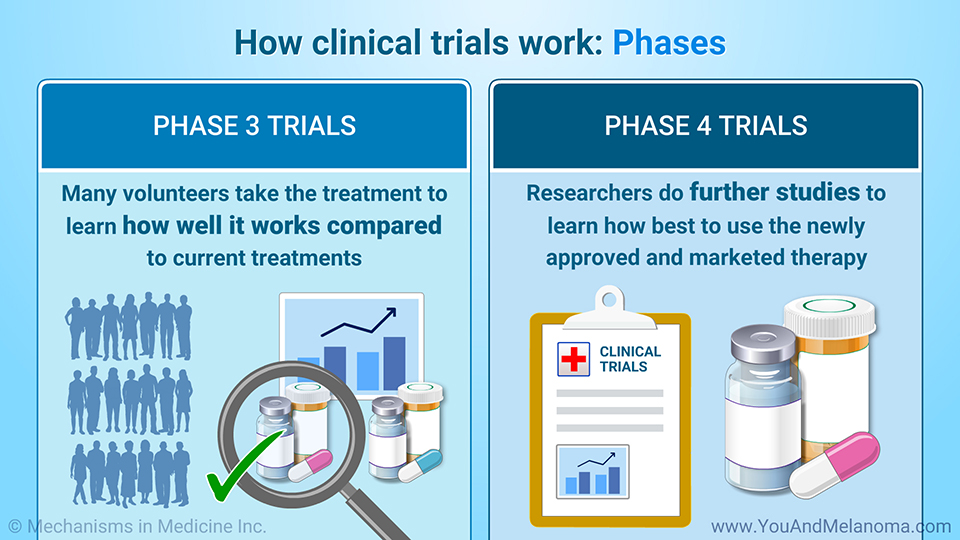 How clinical trials work: Phases