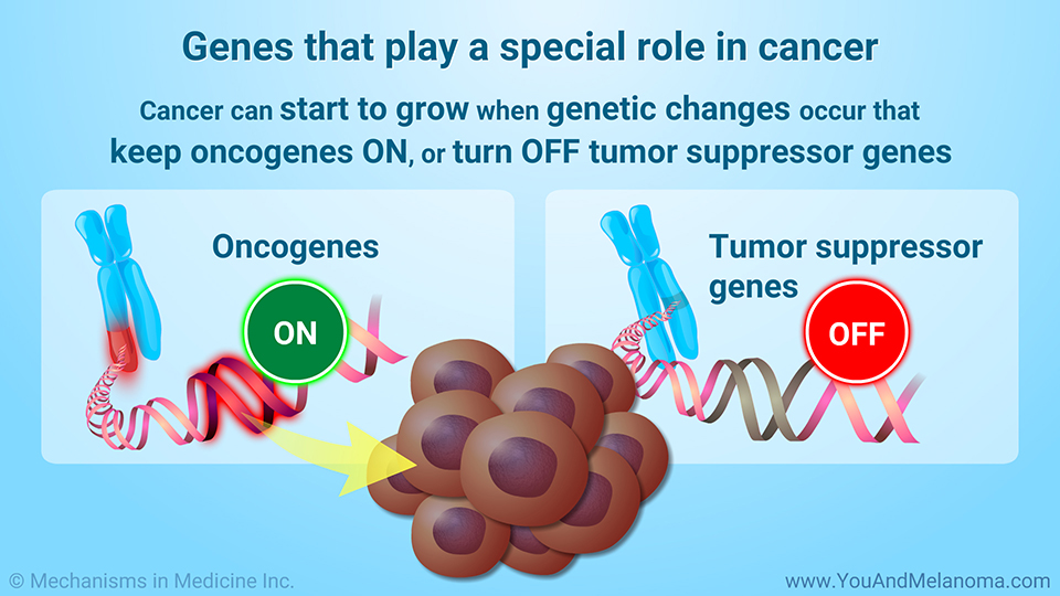 Genes that play a special role in cancer
