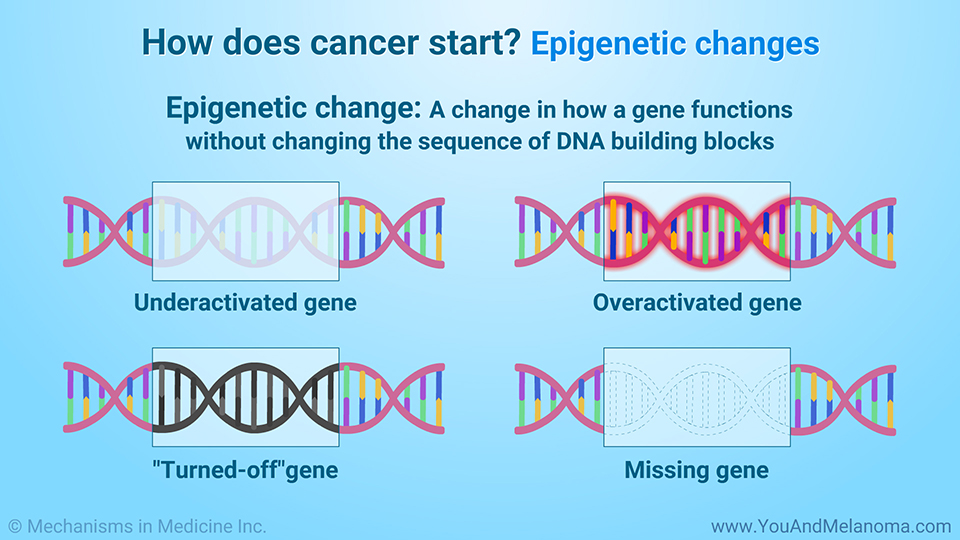 How does cancer start? Epigenetic changes