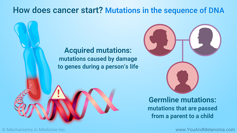 How does cancer start? Mutations in the sequence of DNA