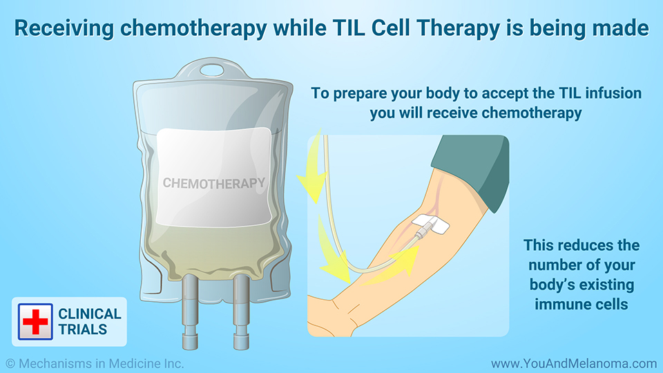 Receiving chemotherapy while TIL Cell Therapy is being made