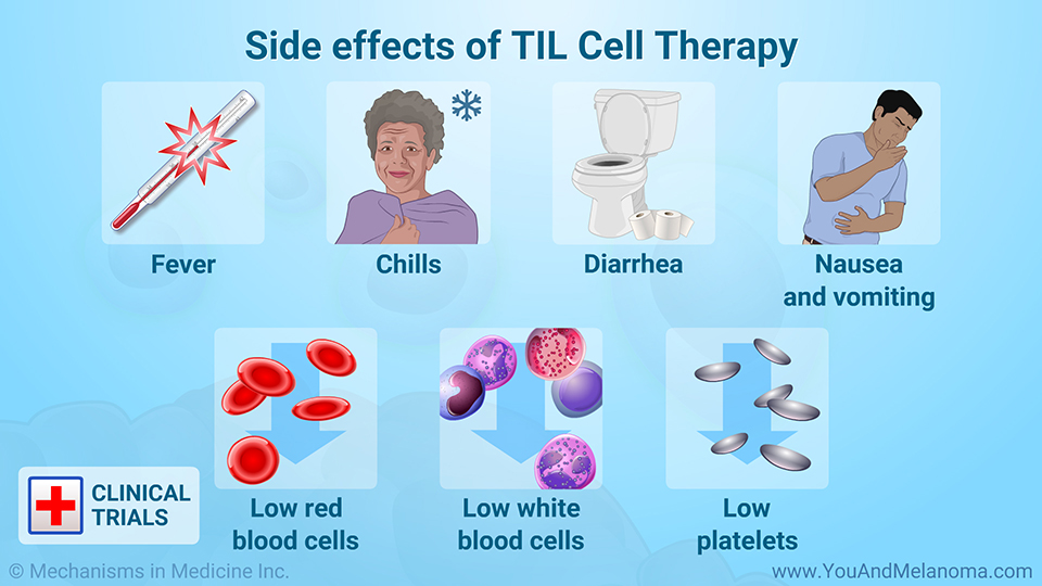 Side effects of TIL Cell Therapy