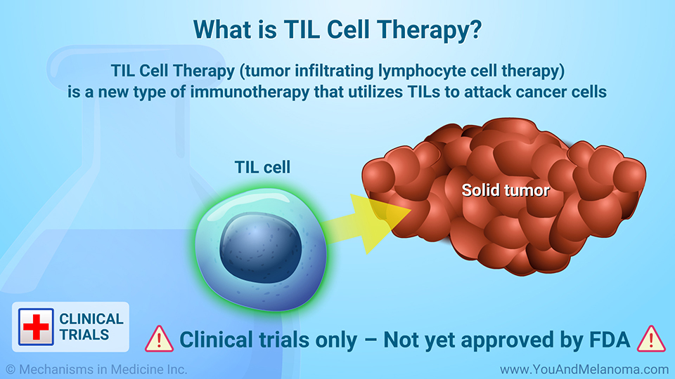 What is TIL Cell Therapy?