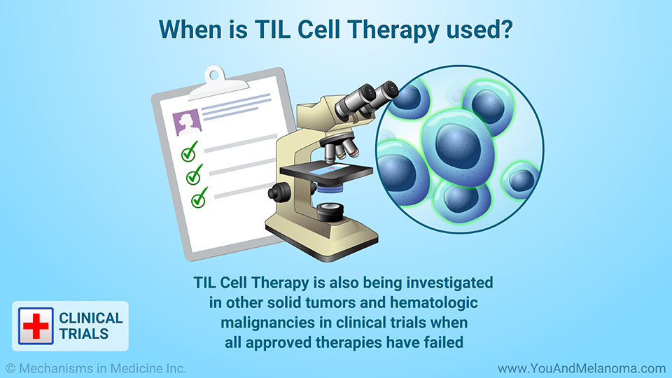 When is TIL Cell Therapy used?