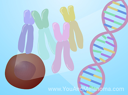 Learn about a variety of topics on Melanoma through short animations